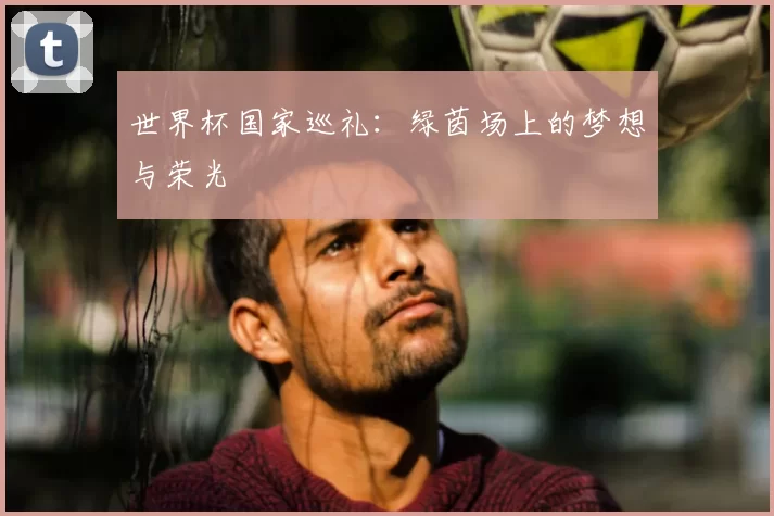 世界杯国家巡礼：绿茵场上的梦想与荣光
