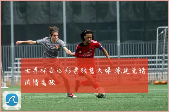 世界杯合法彩票销售火爆 球迷竞猜热情高涨