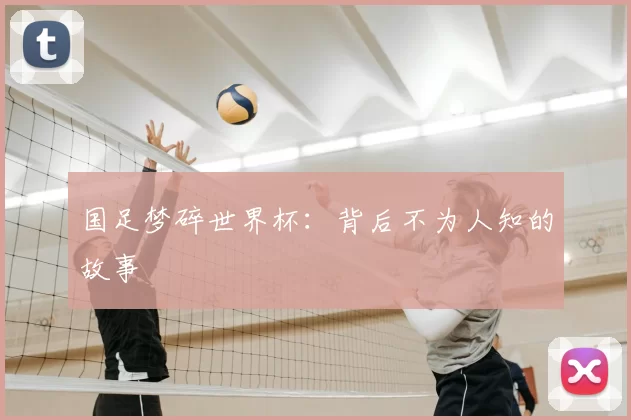 国足梦碎世界杯:背后不为人知的故事