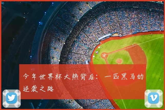 今年世界杯大热背后:一匹黑马的逆袭之路