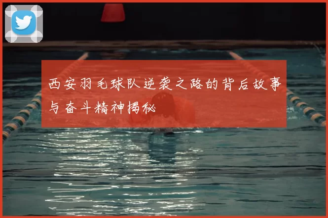 西安羽毛球队逆袭之路的背后故事与奋斗精神揭秘