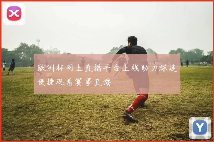欧洲杯网上直播平台上线助力球迷便捷观看赛事直播