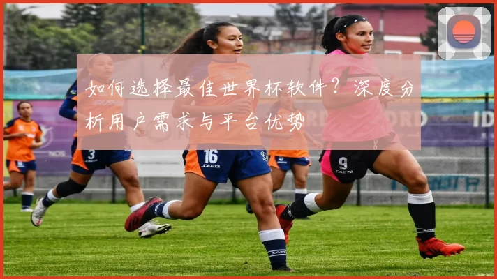 如何选择最佳世界杯软件?深度分析用户需求与平台优势