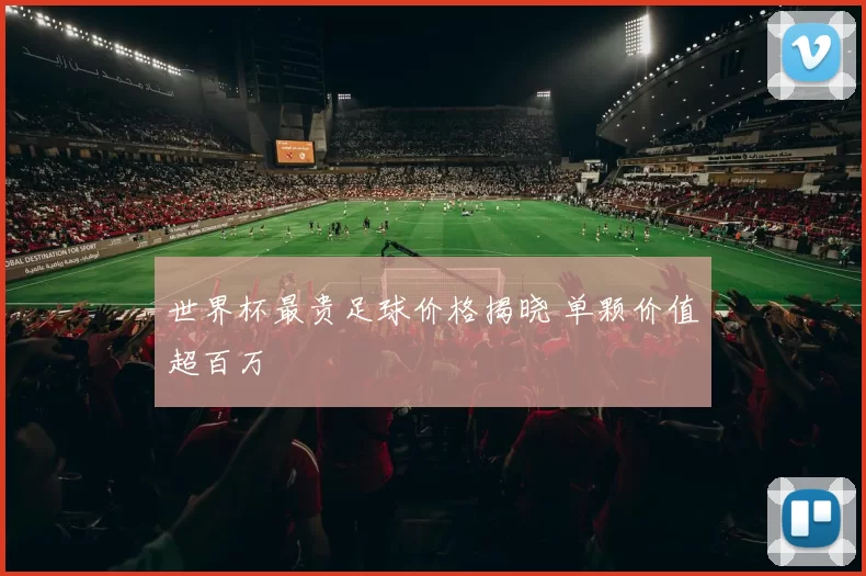 世界杯最贵足球价格揭晓 单颗价值超百万