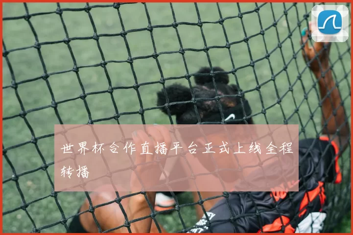 世界杯合作直播平台正式上线全程转播