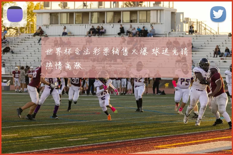 世界杯合法彩票销售火爆 球迷竞猜热情高涨
