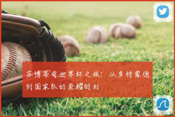 苏博蒂奇世界杯之旅：从多特蒙德到国家队的荣耀时刻