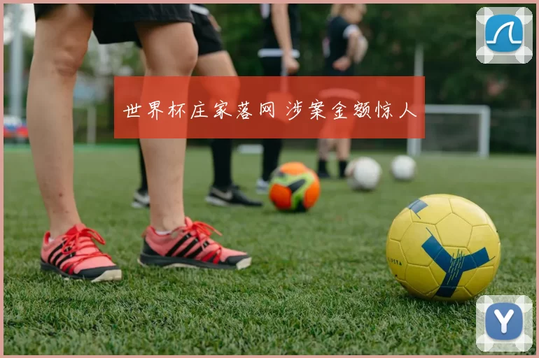 世界杯庄家落网 涉案金额惊人