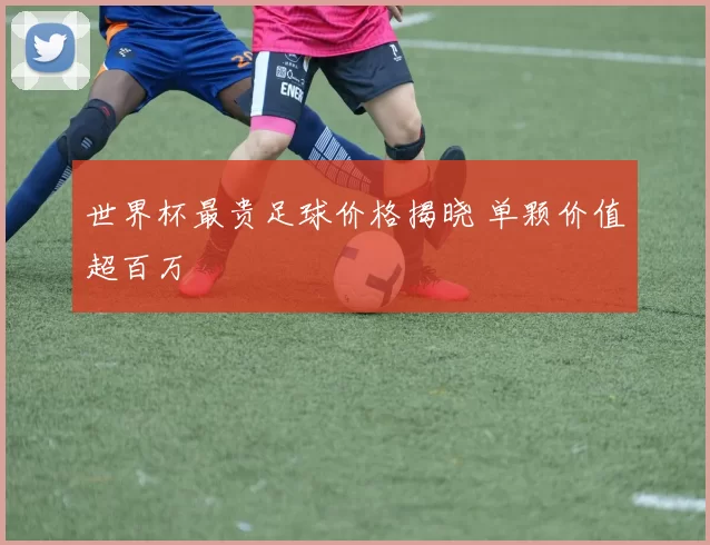 世界杯最贵足球价格揭晓 单颗价值超百万