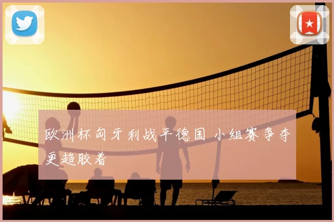 欧洲杯匈牙利战平德国 小组赛争夺更趋胶着