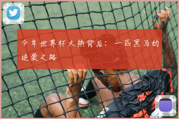 今年世界杯大热背后：一匹黑马的逆袭之路